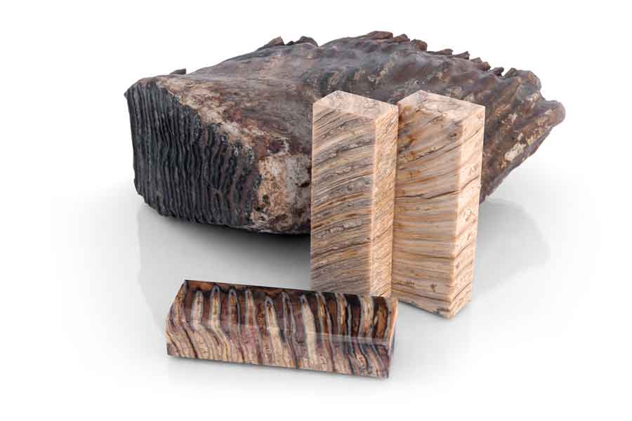 stabilizedmammothstore.com