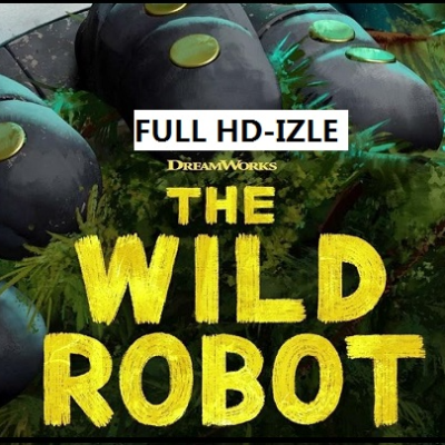hype.co