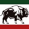 mightybuffalo.com